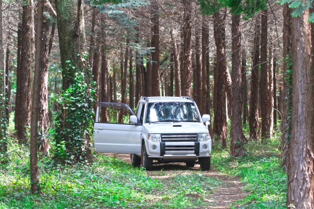 吸気と排気を使い分けて車内の空気を循環させる